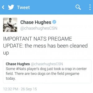 chase dogs1