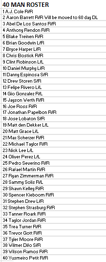 nats 40 man roster