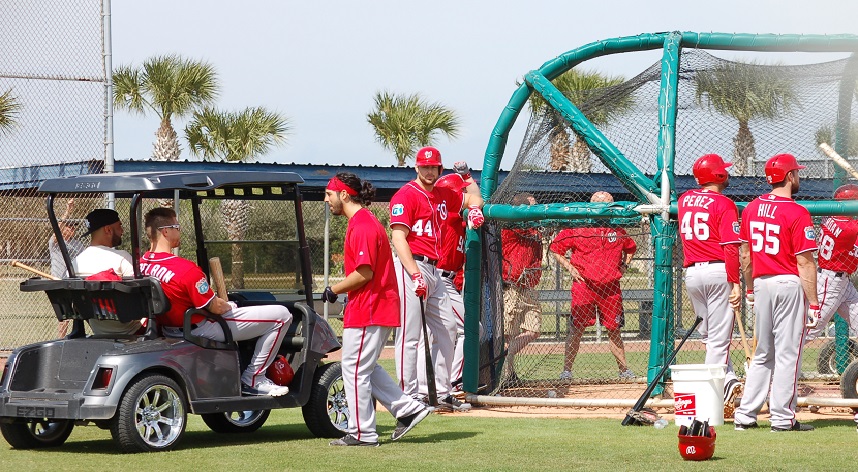 Photo for TalkNats.com by Donna Klinger