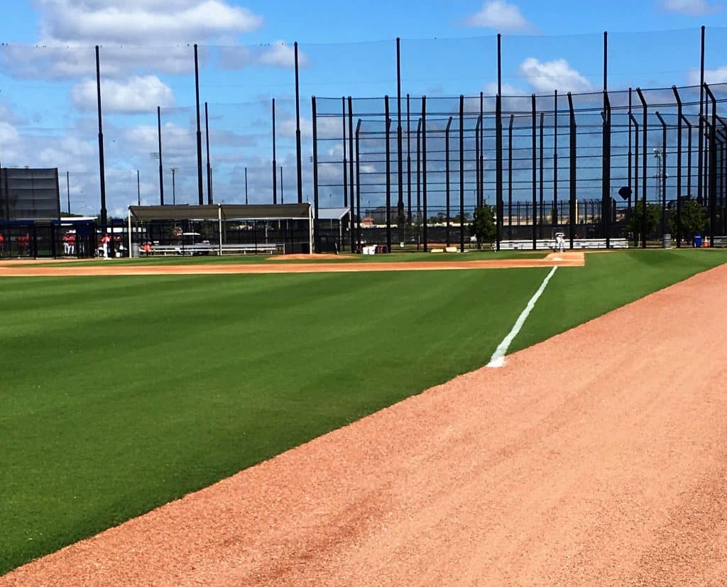 Spring Training fundamentals