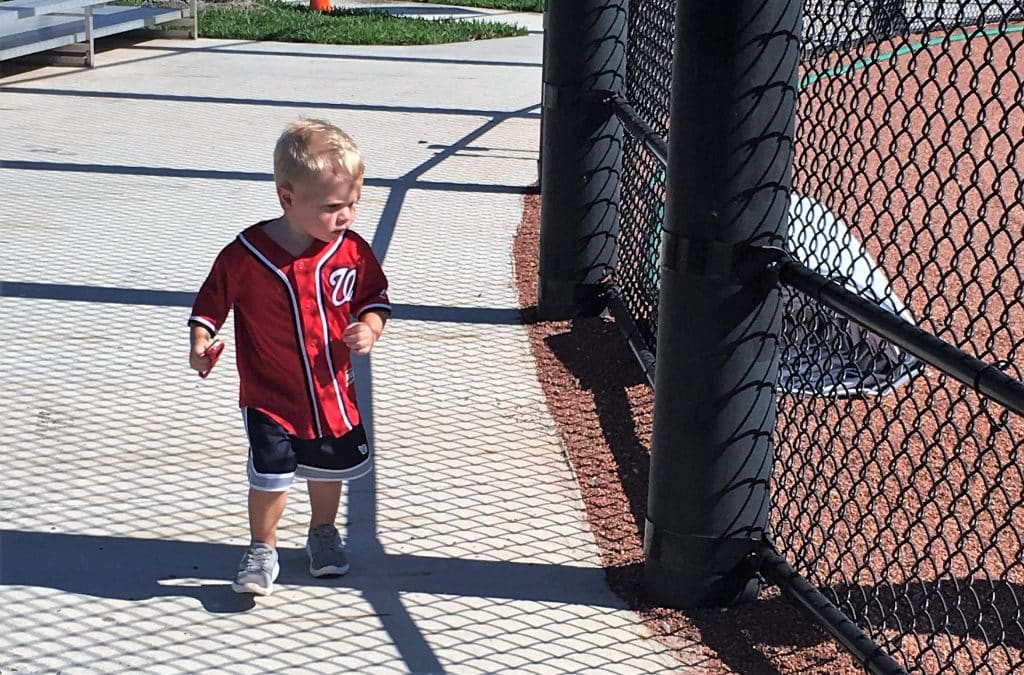 spring training weekend