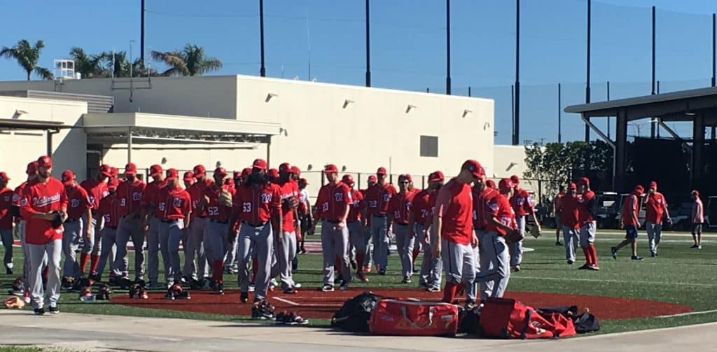 Harper and Harper spring training