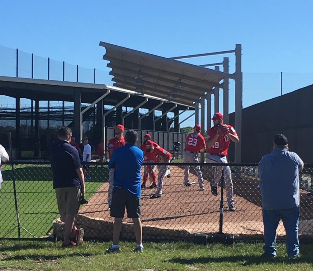 Harper and Harper spring training