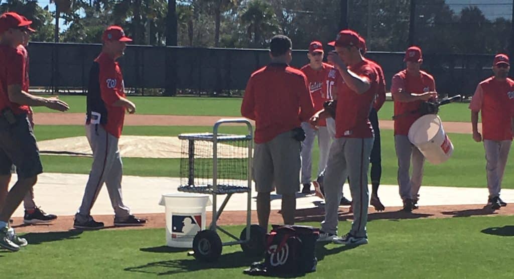 Harper and Harper spring training