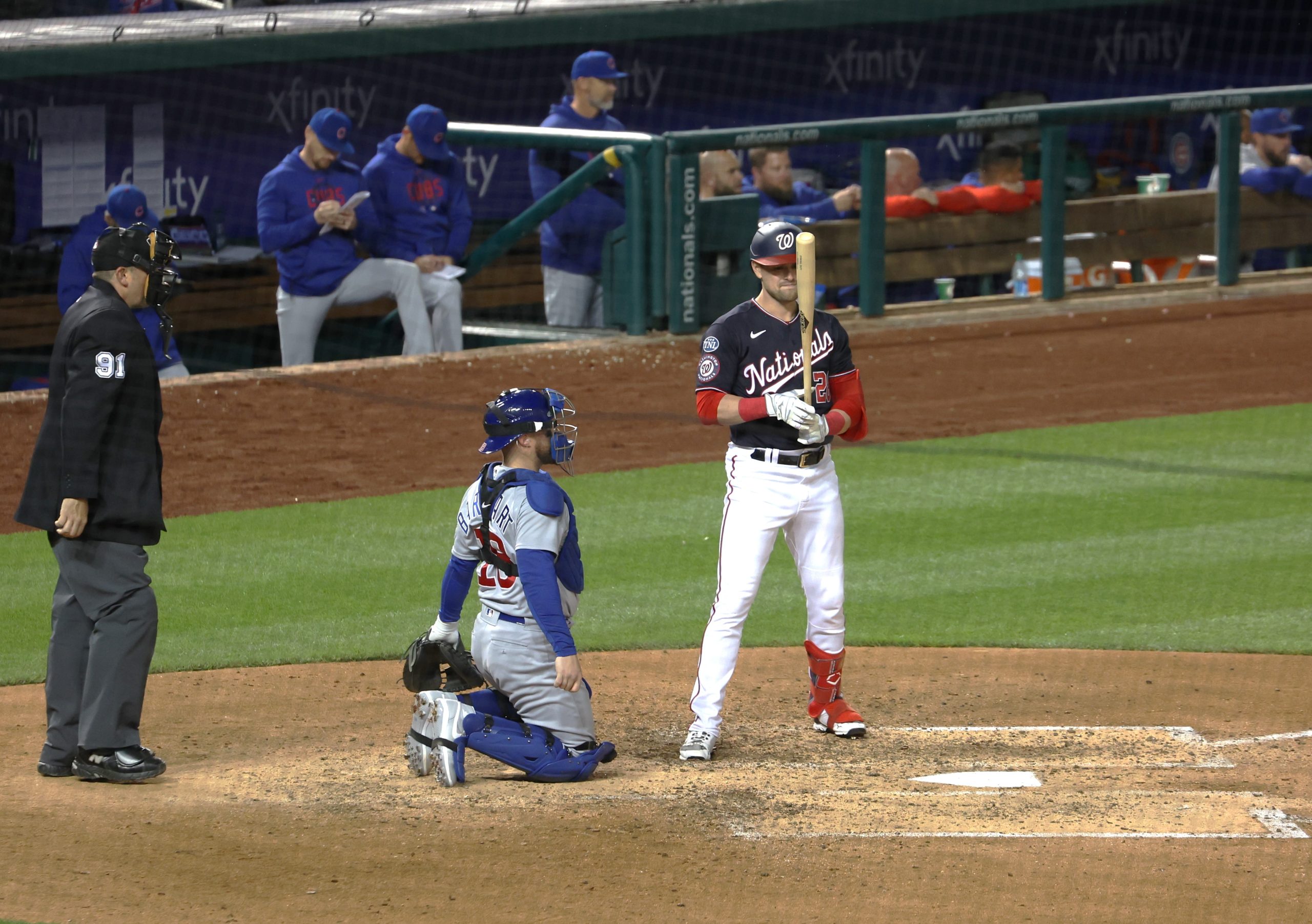 Grading the 2023 Washington Nationals: position player edition